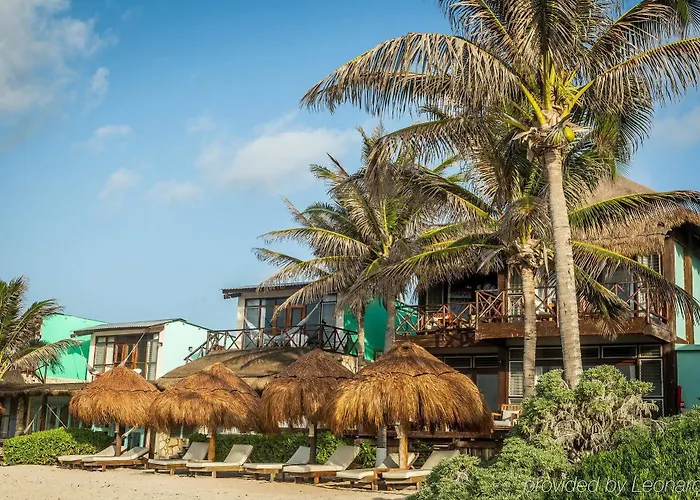 Hotel El Pez A Colibri Boutique