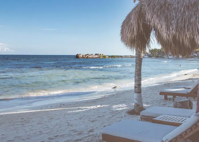 El Pez A Colibri Boutique Hotel Tulum