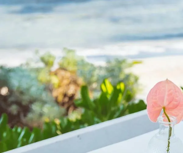 El Pez A Colibri Boutique Hotel Tulum